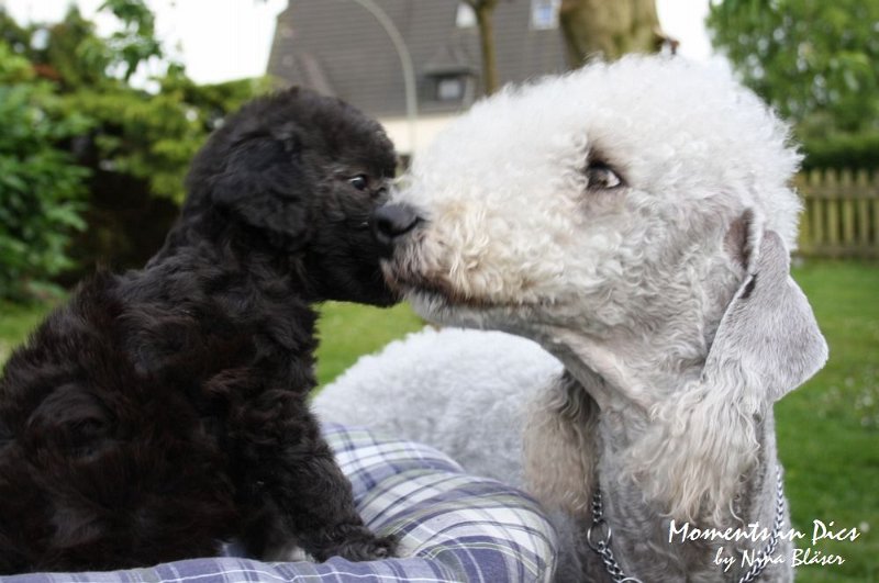 Arc-en-ciel Antares 2009-06-17 (39).JPG